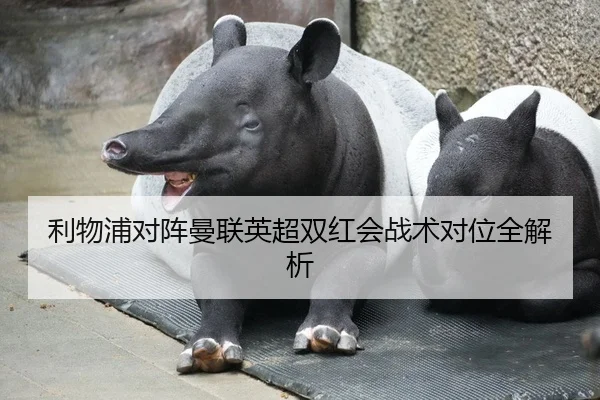 利物浦对阵曼联英超双红会战术对位全解析